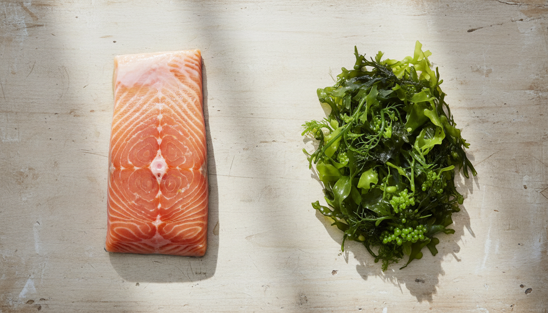 Omega-3 from Algae vs Fish Oil: What Is the Best Choice?