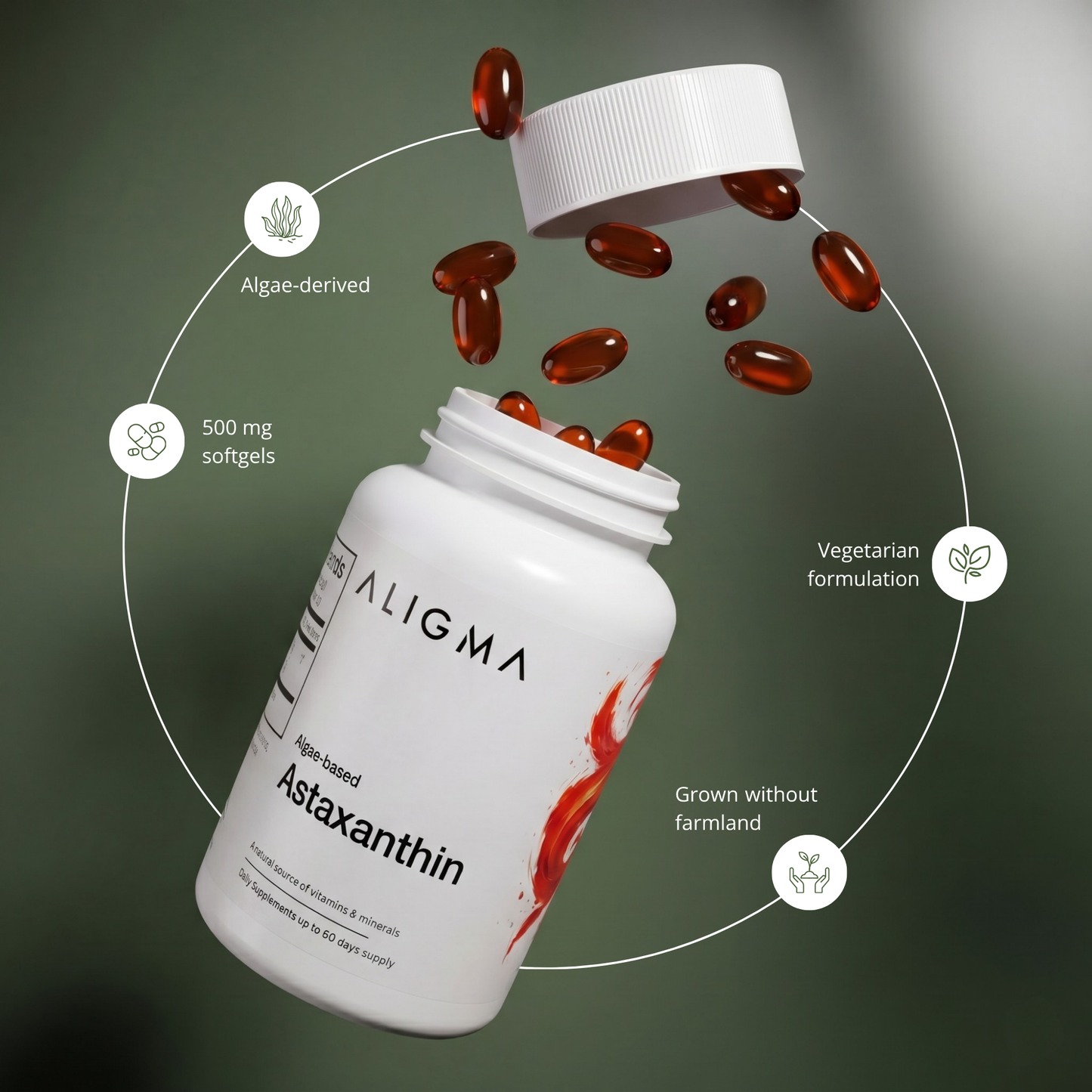 Organic Astaxanthin 60 Softgel Capsules, 500 mg